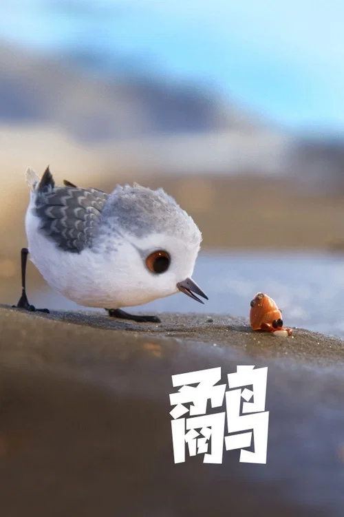 鹬
