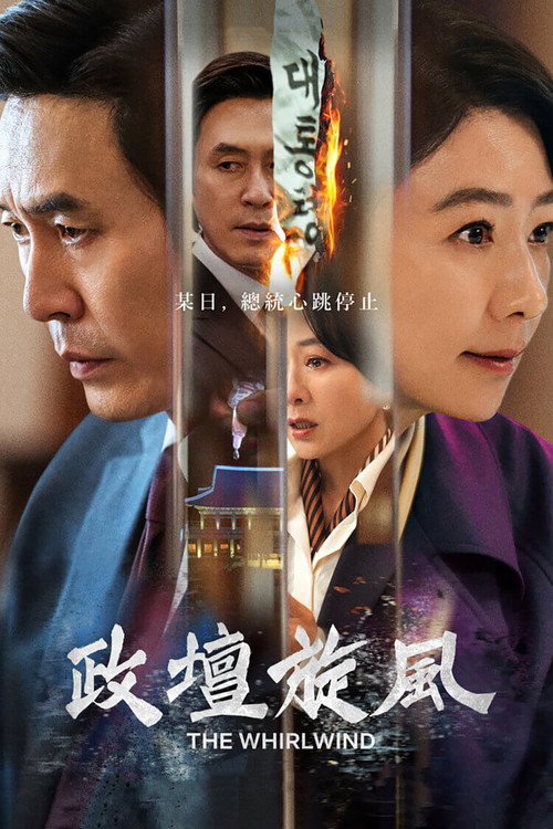 政坛旋风 海报