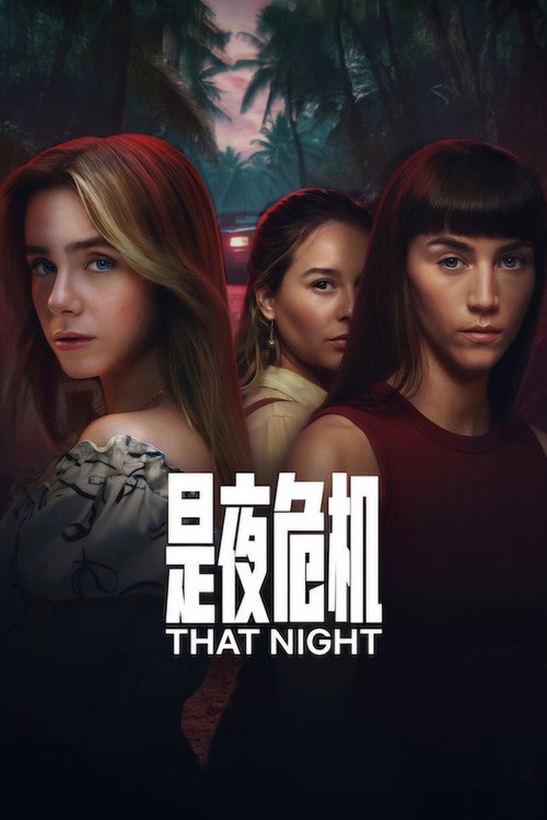 是夜危机 海报