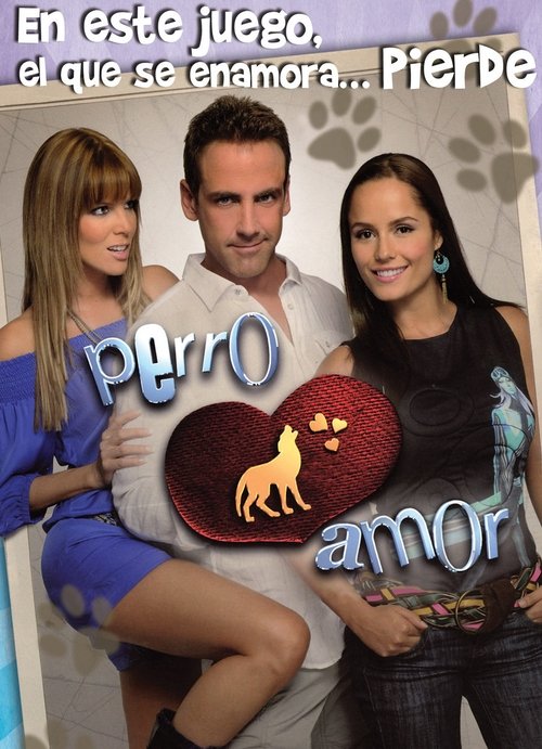 Perro Amor 海报