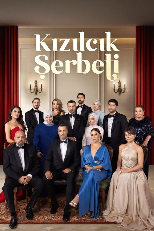 Kızılcık Şerbeti 海报