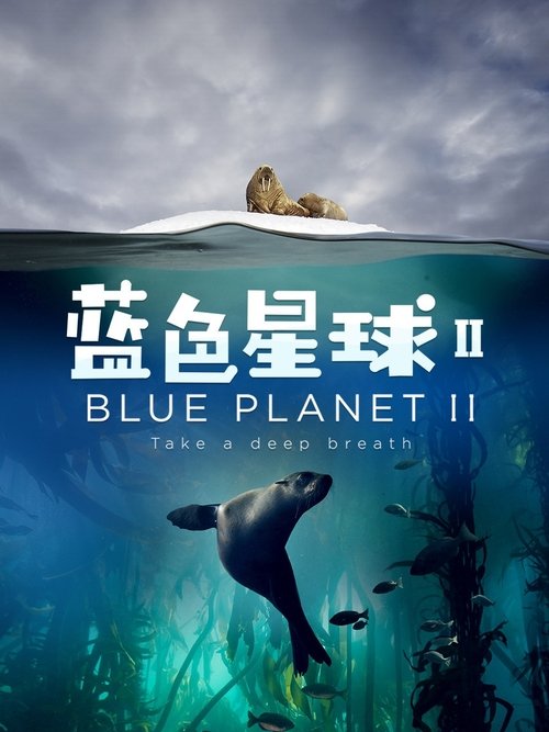 蓝色星球 2 海报