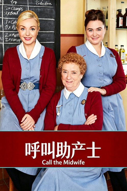 呼叫助产士 海报