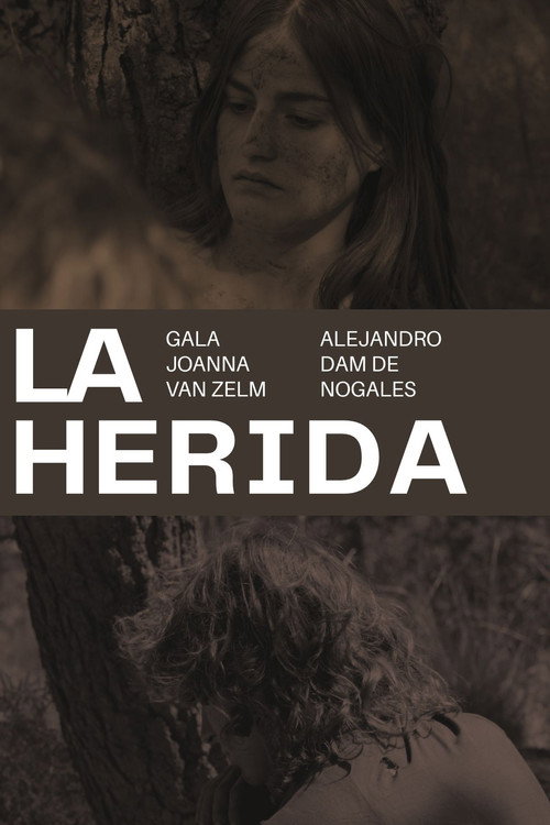 La herida 海报