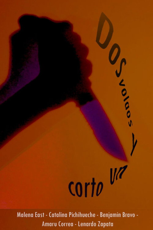 Dos volaos y un corto 海报