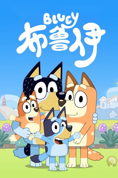 布鲁伊 海报