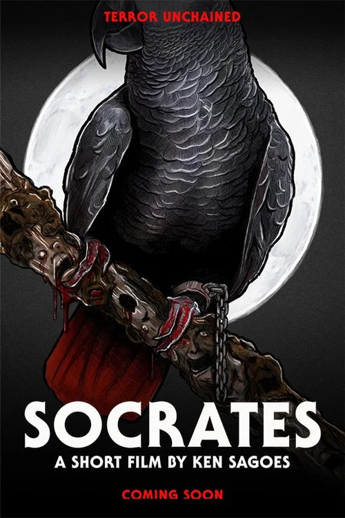Socrates 海报