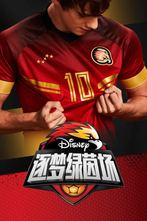 逐梦绿茵场 海报