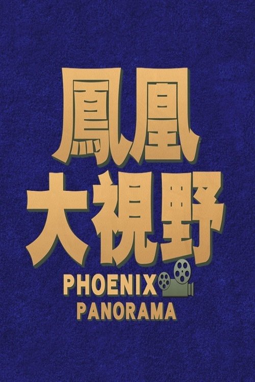 凤凰大视野 海报