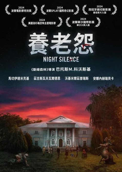 寂静之夜 海报